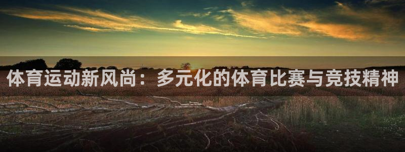 谈球吧体育官网：体育运动新风尚：多元化的体育比赛与竞技精神