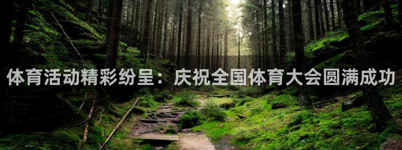 谈球吧体育官网：体育活动精彩纷呈：庆祝全国体育大会圆满成功