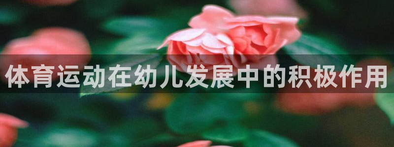 谈球吧：体育运动在幼儿发展中的积极作用