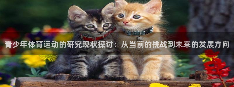 谈球吧：青少年体育运动的研究现状探讨：从当前的挑战到未来的发展方向