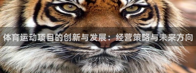 谈球吧体育：体育运动项目的创新与发展：经营策略与未来方向