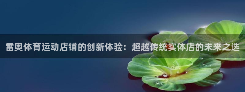 谈球吧体育官网：雷奥体育运动店铺的创新体验：超越传统实体店的未来之选