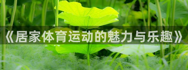谈球吧：《居家体育运动的魅力与乐趣》