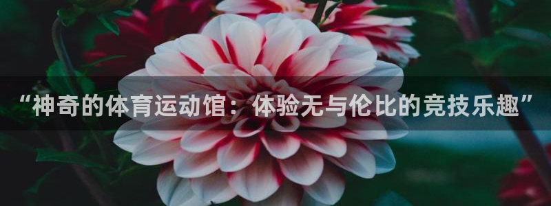 谈球吧：“神奇的体育运动馆：体验无与伦比的竞技乐趣”
