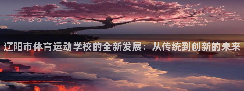 谈球吧：辽阳市体育运动学校的全新发展：从传统到创新的未来