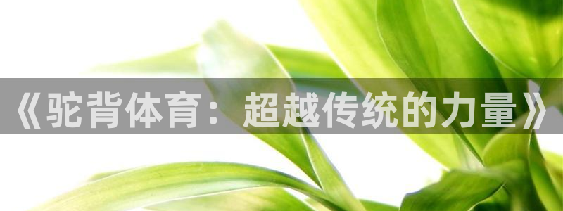 谈球吧：《驼背体育：超越传统的力量》