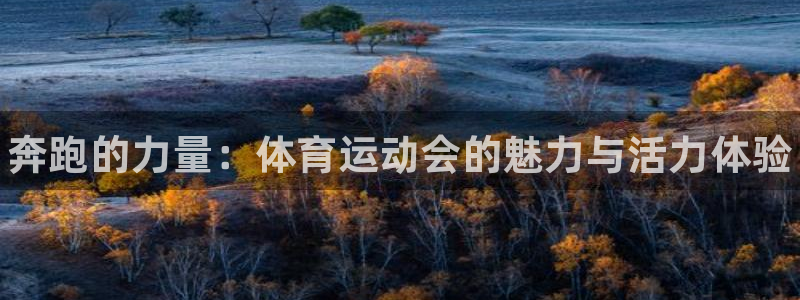 谈球吧体育：奔跑的力量：体育运动会的魅力与活力体验