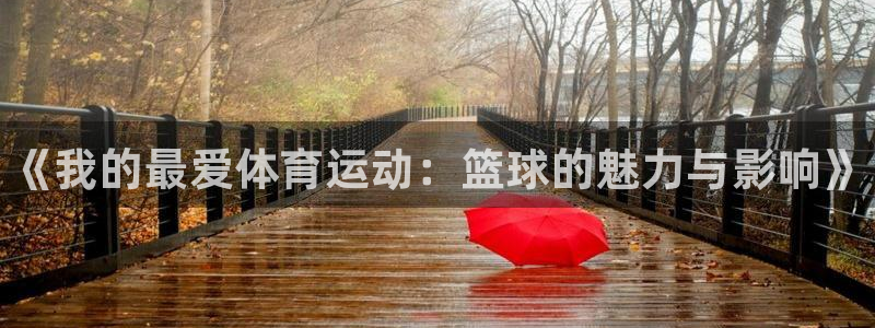 谈球吧体育官网：《我的最爱体育运动：篮球的魅力与影响》