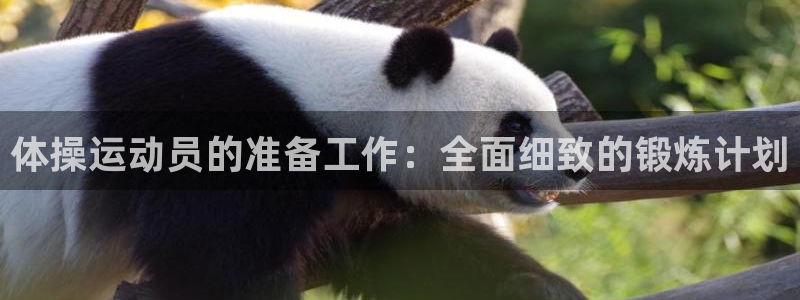 谈球吧：体操运动员的准备工作：全面细致的锻炼计划