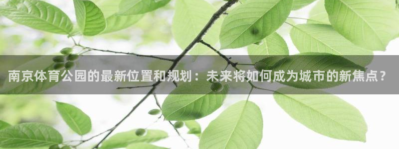 谈球吧体育：南京体育公园的最新位置和规划：未来将如何成为城市的新焦点？
