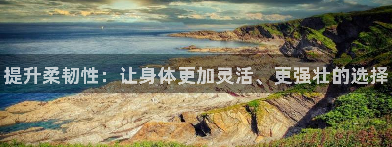 谈球吧体育：提升柔韧性：让身体更加灵活、更强壮的选择