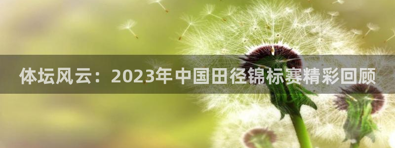 谈球吧体育官网：体坛风云：2023年中国田径锦标赛精彩回顾