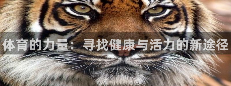 谈球吧体育：体育的力量：寻找健康与活力的新途径