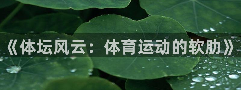 谈球吧体育：《体坛风云：体育运动的软肋》