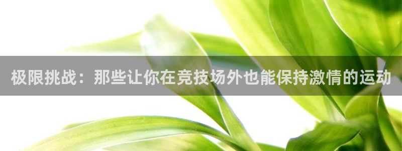 谈球吧体育官网：极限挑战：那些让你在竞技场外也能保持激情的运动