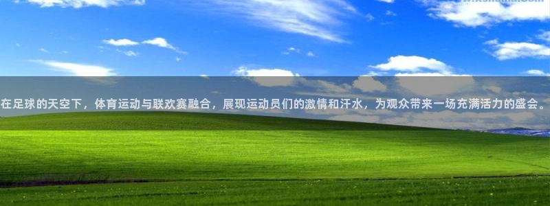 谈球吧体育官网：在足球的天空下，体育运动与联欢赛融合，展现运动员们的激情和汗水，为观众带来一场充满活力的盛会。