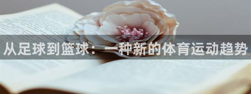 谈球吧体育官网：从足球到篮球：一种新的体育运动趋势