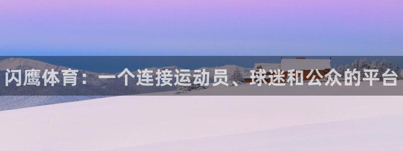 谈球吧体育：闪鹰体育：一个连接运动员、球迷和公众的平台