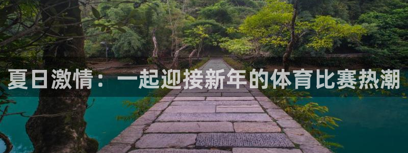 谈球吧：夏日激情：一起迎接新年的体育比赛热潮