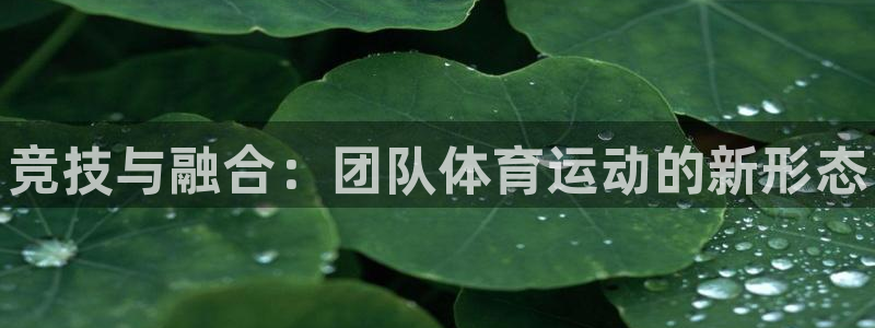 谈球吧体育官网：竞技与融合：团队体育运动的新形态