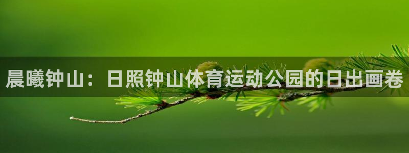 谈球吧体育官网：晨曦钟山：日照钟山体育运动公园的日出画卷