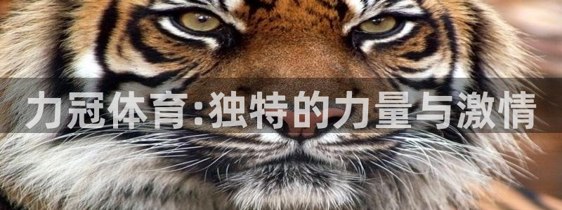 谈球吧体育：力冠体育:独特的力量与激情