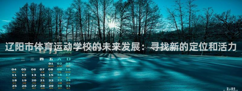 谈球吧：辽阳市体育运动学校的未来发展：寻找新的定位和活力
