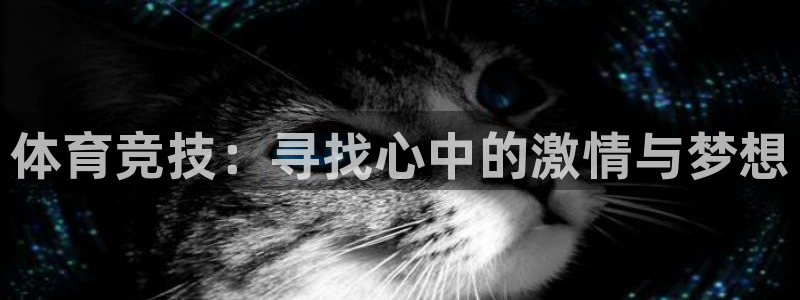 谈球吧：体育竞技：寻找心中的激情与梦想